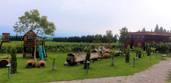 vineyards